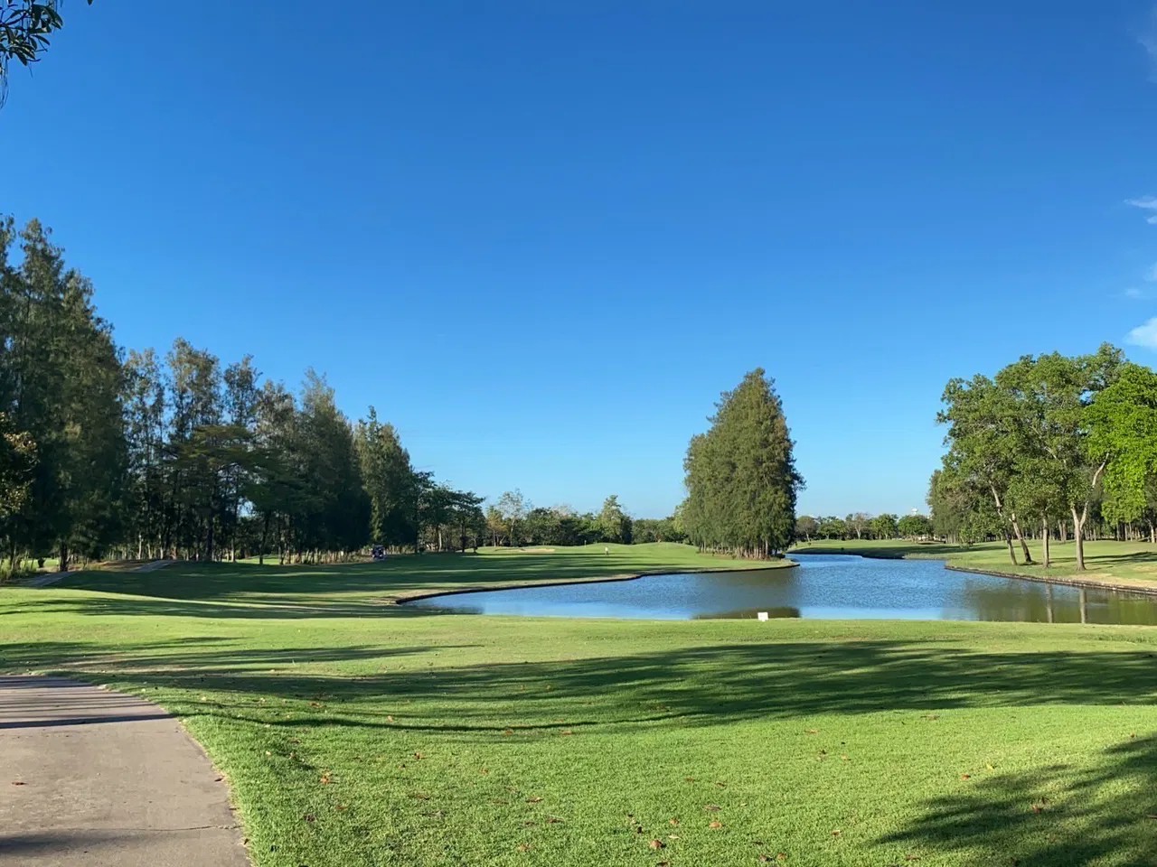 /upload/olivetrip/image/goods/main/30000299/olivetrip_cm9900_30002537.jpg